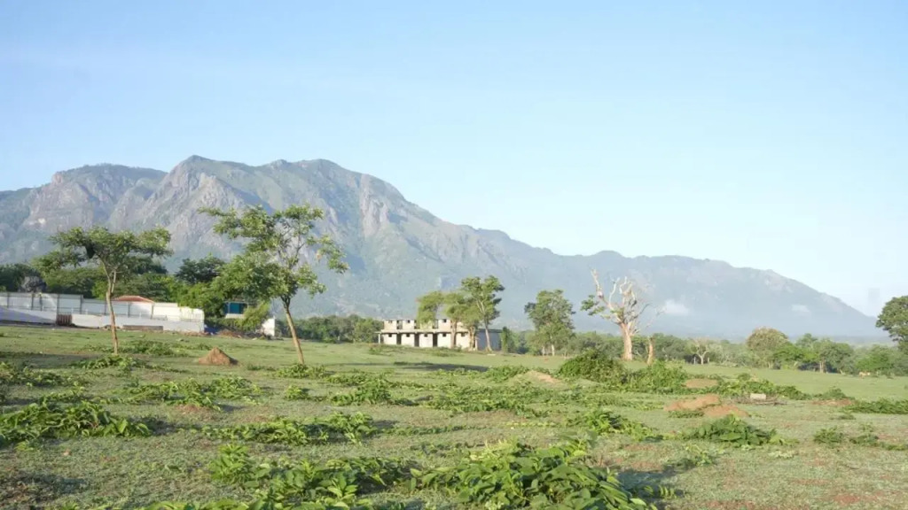 Wild Tusker Homestay Masinagudi by LexStays
