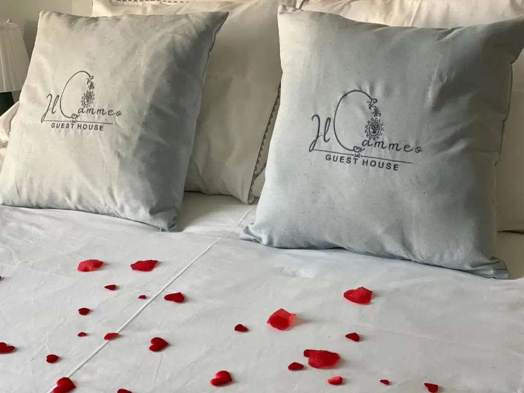 Il Cammeo Guest House, Near Pompeii And Vesuvius