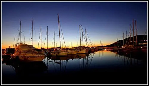 Filoverde