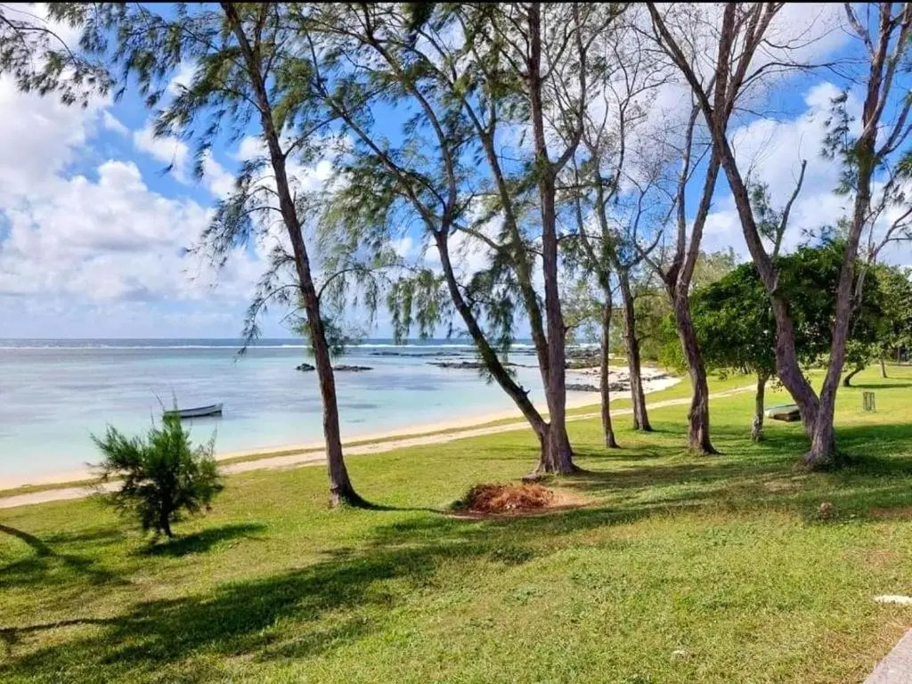 3 bedrooms bungalow with sea view shared pool and furnished garden at Palmar