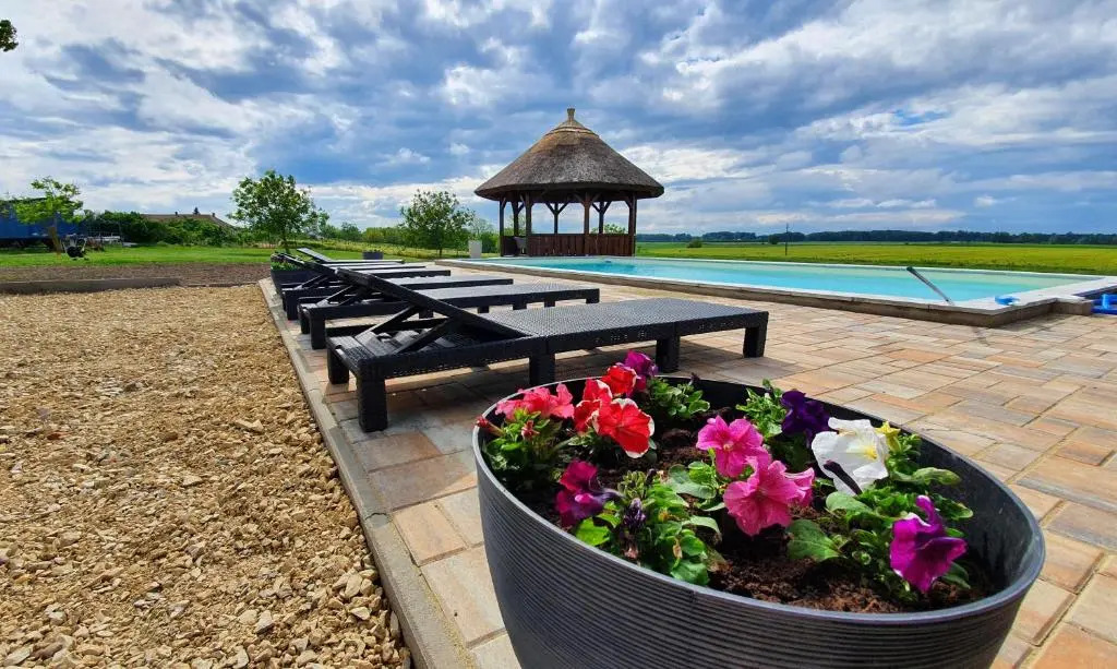 Tisza White House