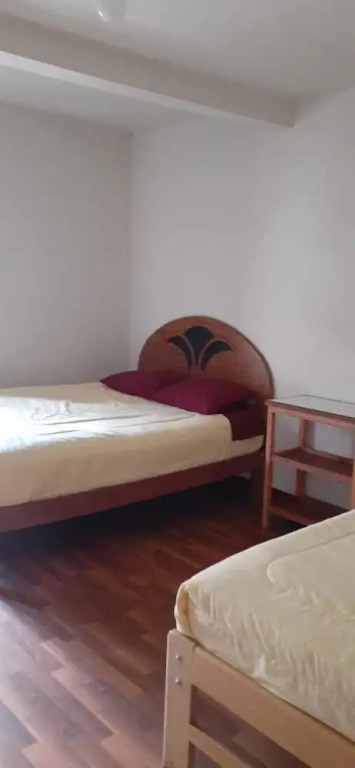 The Grasshopper Hostels AV Alta