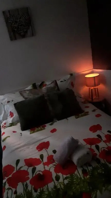Appartement 48m2 pour 6 personnes au centre ville historique avec parking gratuit et une borne de recharge pour voiture à 10 metres