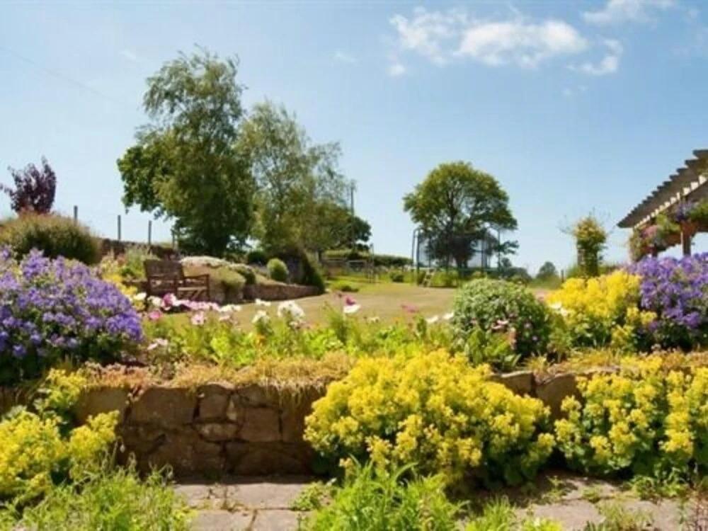 Dinas Farm