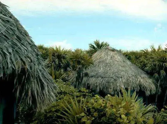 Cabañas Copal