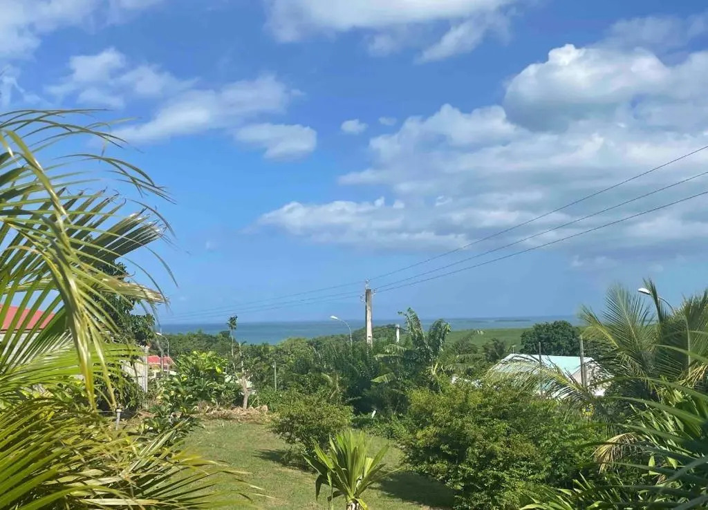 Bel appartement t2 avec vue sur palmier et mer