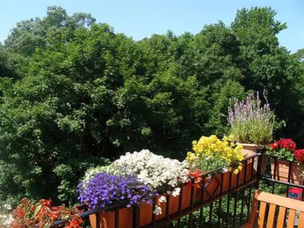 Asbach Appartements Weimar