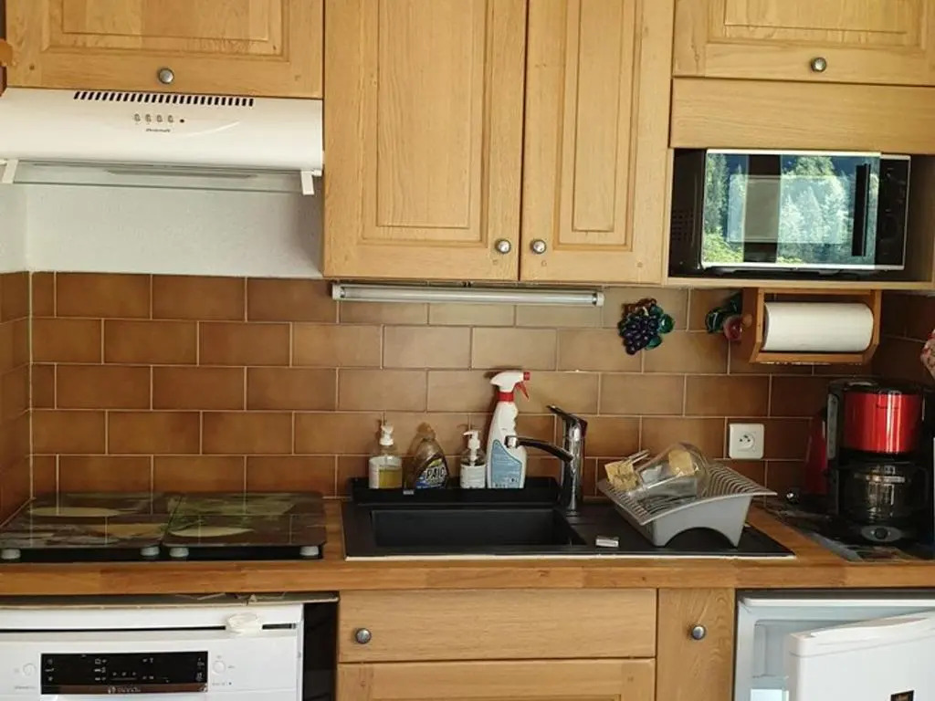 Appartement Saint-Jean-d'Aulps, 1 pièce, 4 personnes - FR-1-573-44
