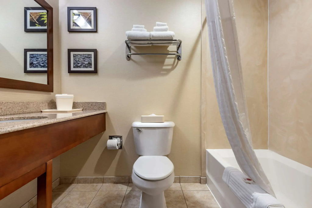 Comfort Inn & Suites Farmington - Victor