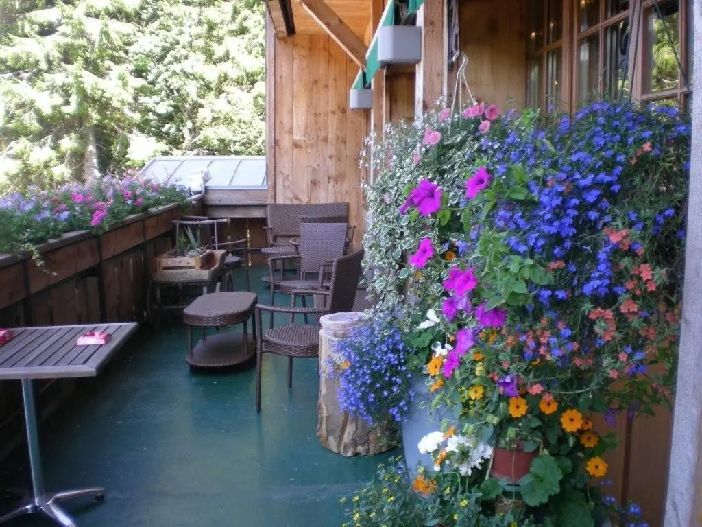 Chalet au bord du lac de Longemer