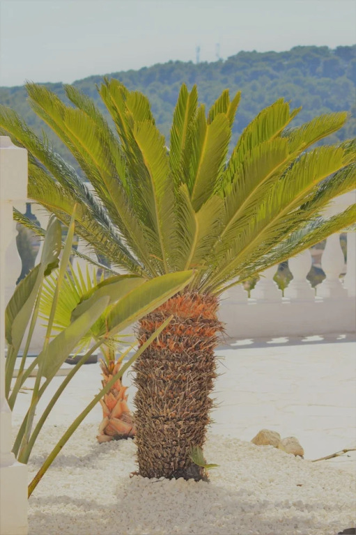 Villa La Terre Des Lauriers