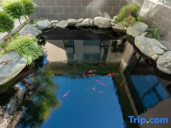 Ji Xing ·Field Rizhao Jinshan viewing Villa Hotel
