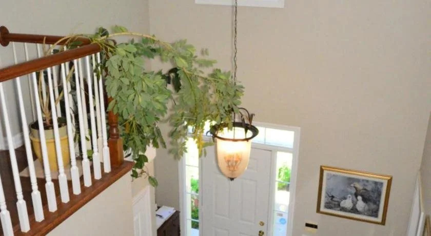 Eagle's Wing Bed and Breakfast