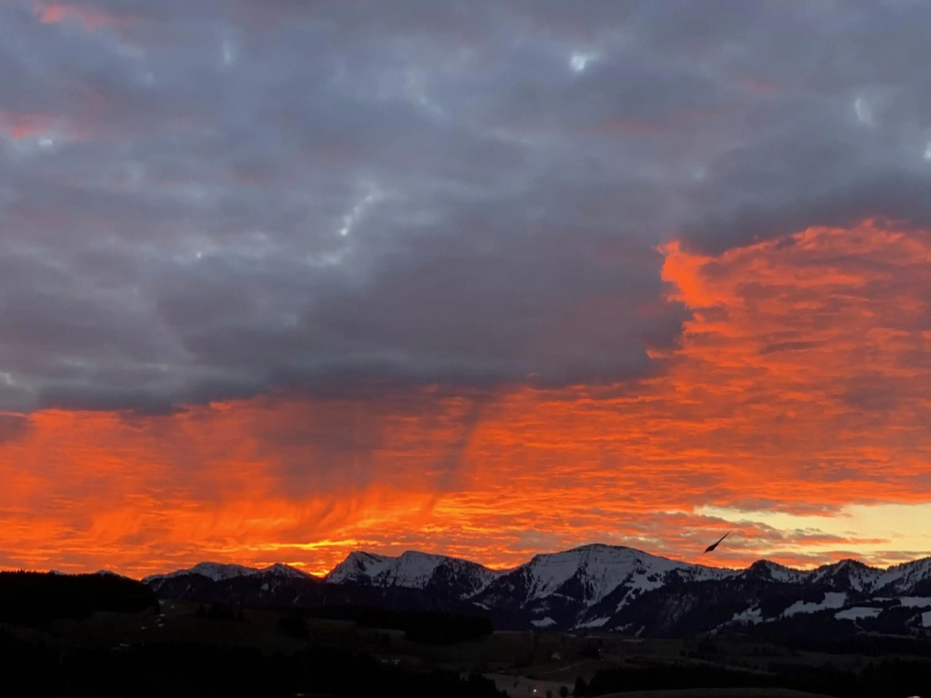 PanoramaApart - Alpzeit im Westallgäu