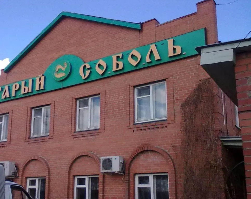 Старый соболь
