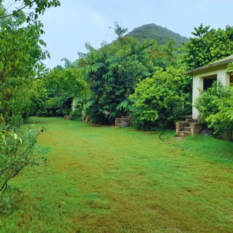 Sariska Forest Trail
