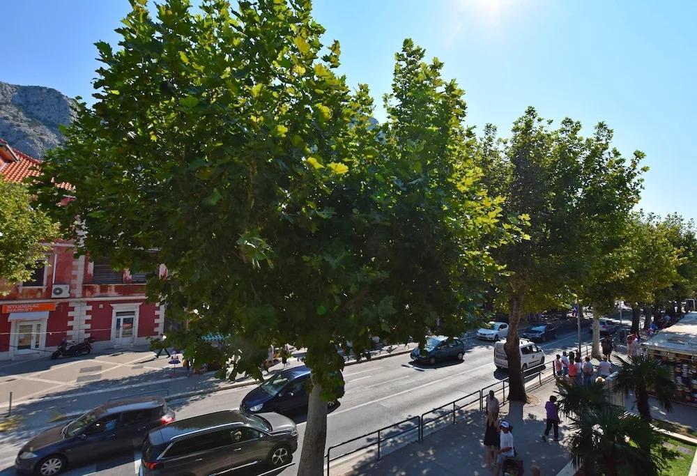 Apartments Roza