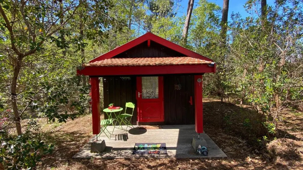 L’Oasis au milieu de la Forêt
