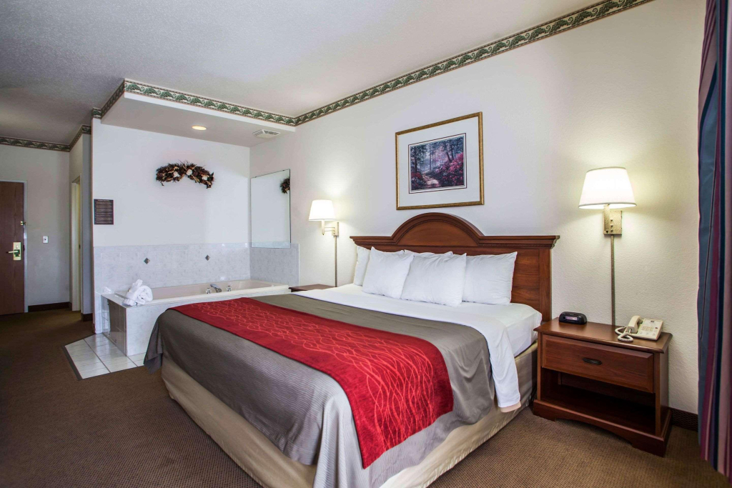 Comfort Inn & Suites Geneva- West Chicago