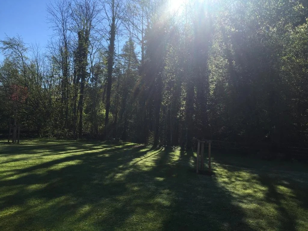 Appartements im Forsthaus Wunderbar ruhige Ferienwohnungen in Strobl am Wolfgangsee im Forsthaus