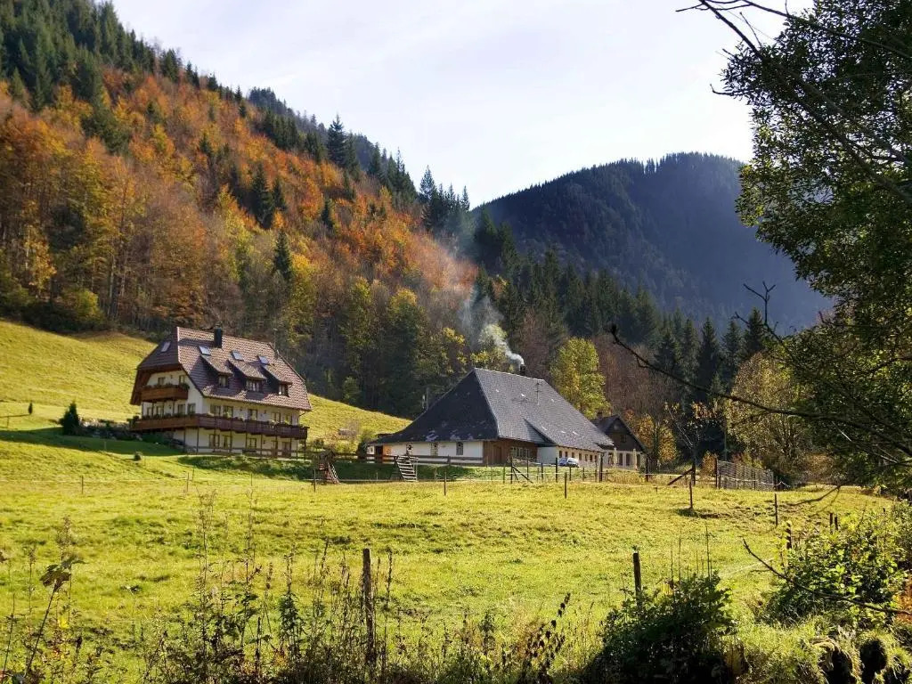 Gasthaus Zur Linde- Napf