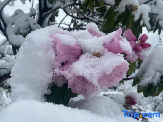 Jingshui Xianju · Leisure Time Leisure Vacation Homestay (Wawu Mountain Scenic Area)