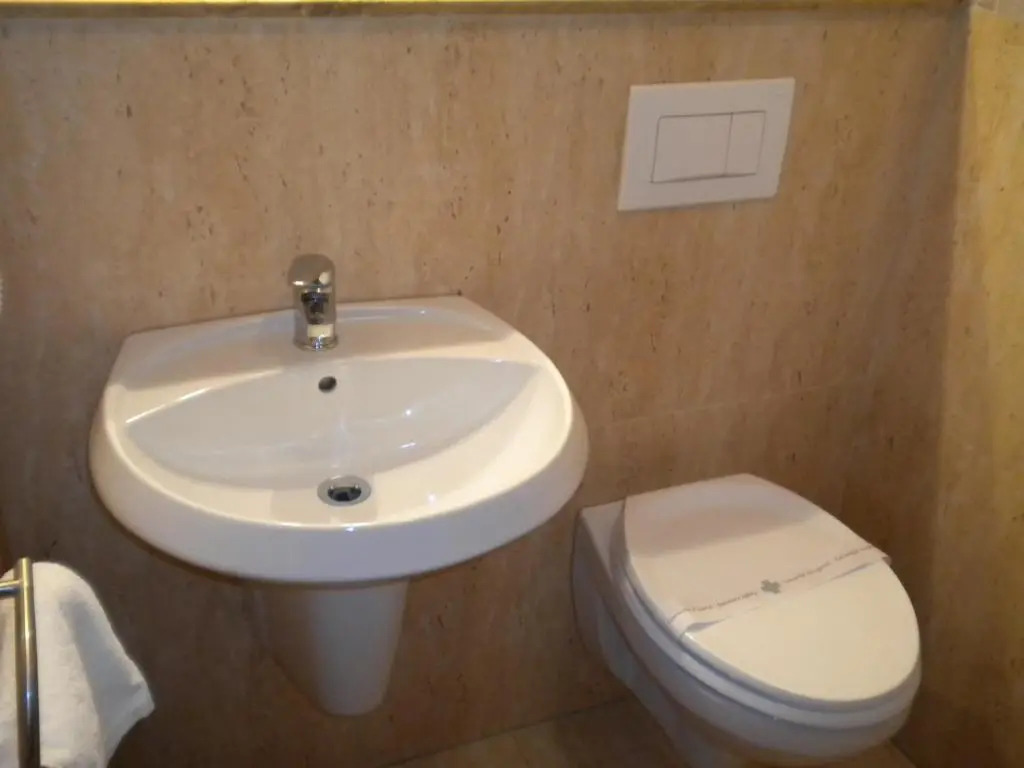 Hotel Crisana Arad