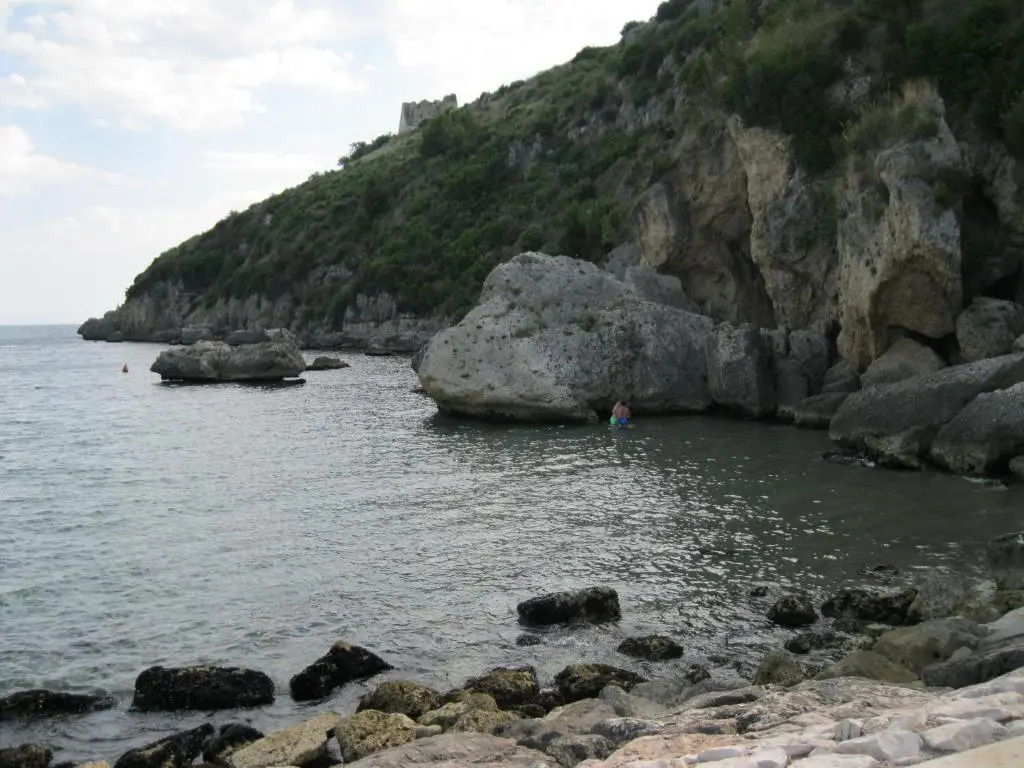 "Il nespolo"