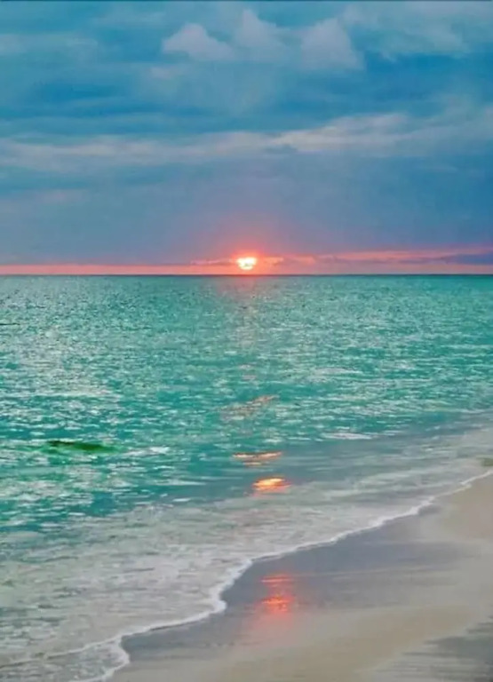 Lovely Apartment, Hallandale Beach!!!
