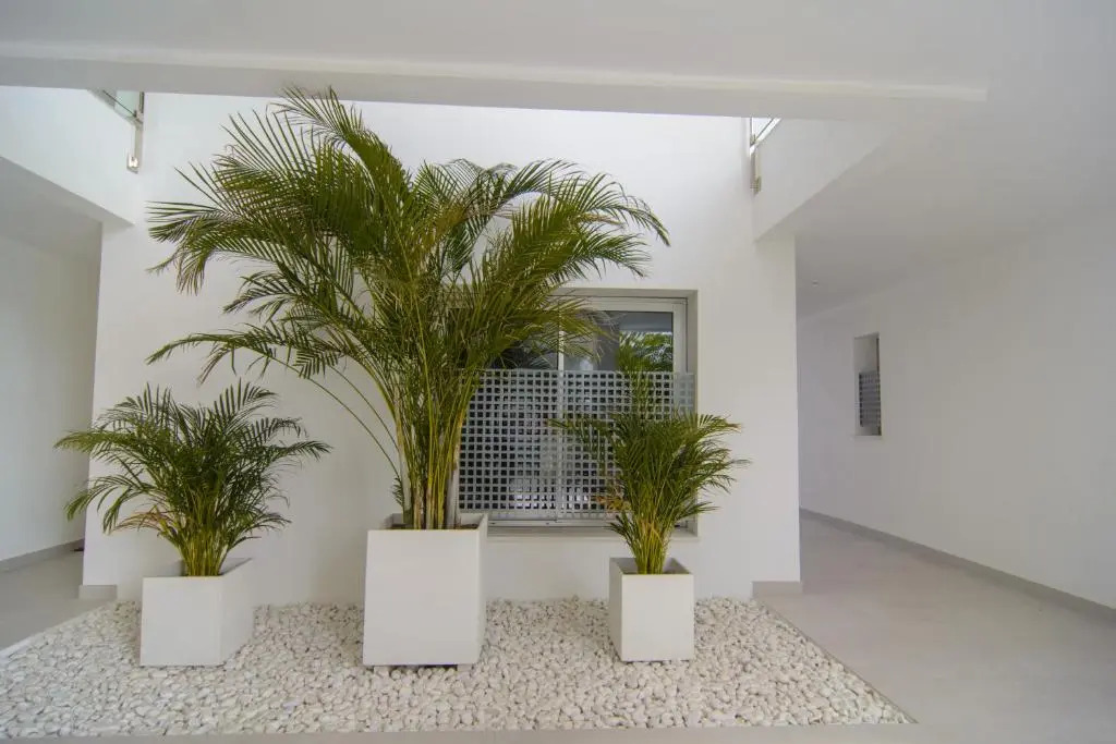 Belaire 4 Bedroom Apartment