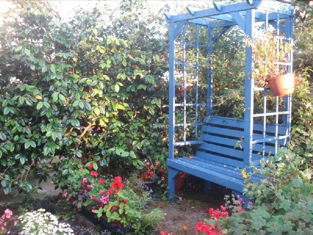 Black Lion Bed & Breakfast