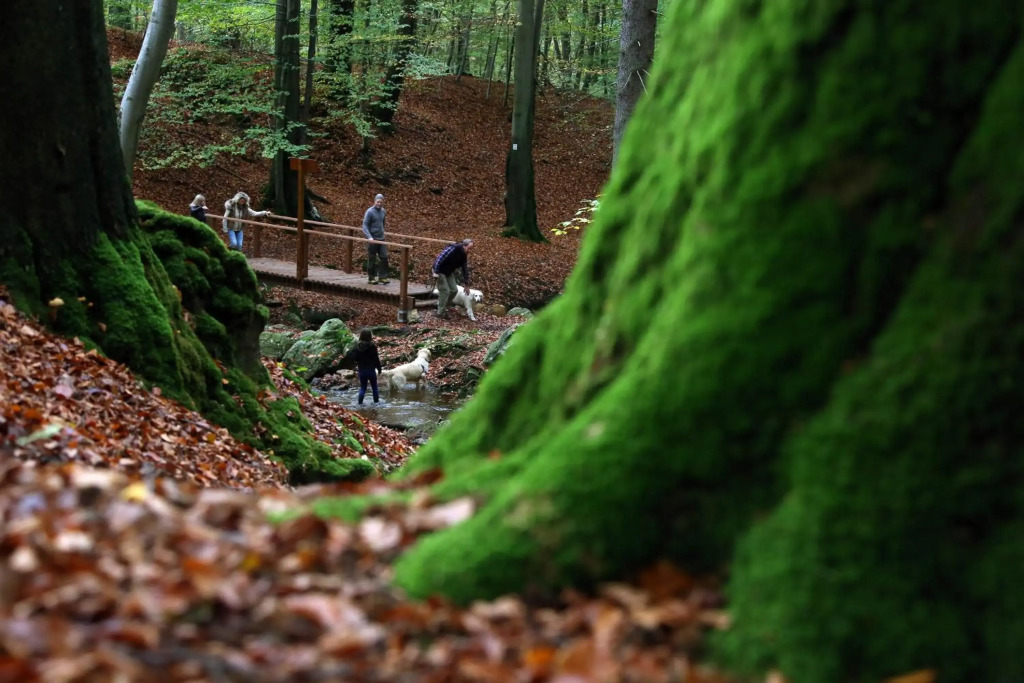 Le Héron 28pers, Malmedy- Home cinéma, balnéo, sauna, jardin