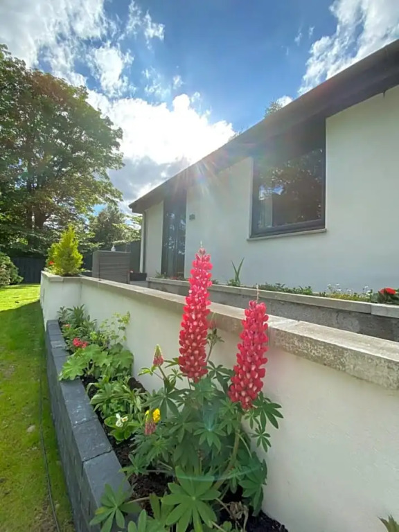 Aurora suite B&B