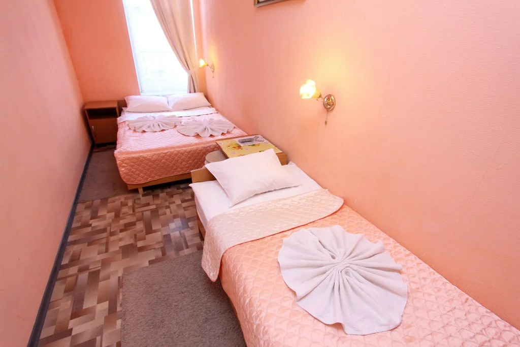 Geralda Ekonom otel' na Pushkinskoy 11