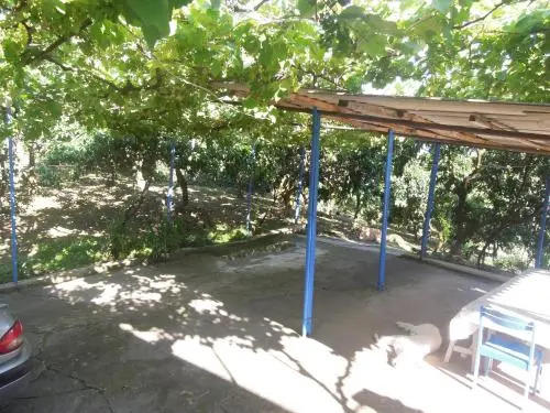Guest house Mandarinovyj sad
