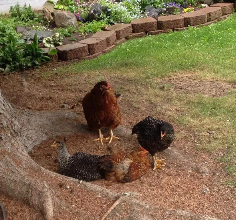 Gardenside Bed and Breakfast
