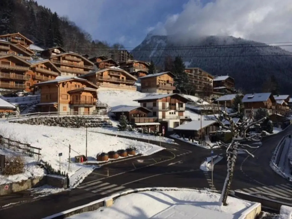 Luxury Apartment, 350m to ski lift, south facing, close to town centre