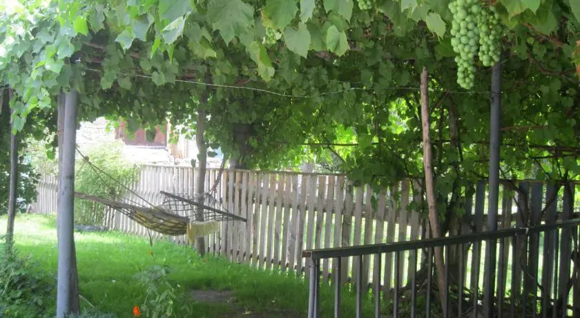 Guest House in Latali