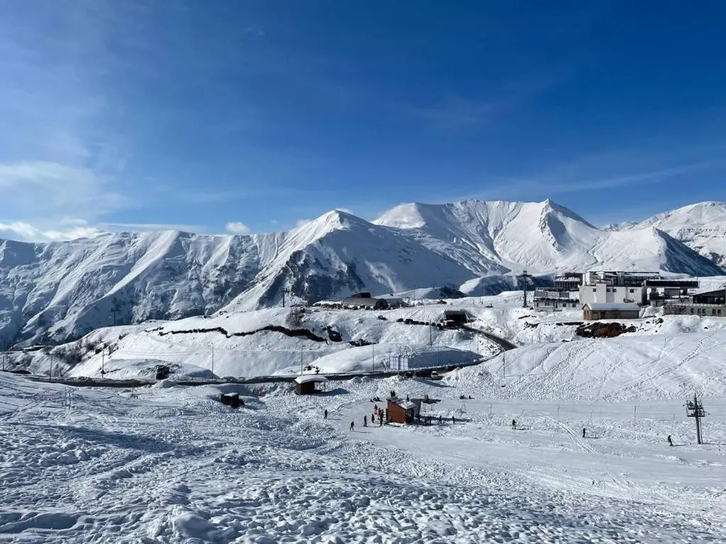 Stylish Studio at Marshall Ski Resort Gudauri
