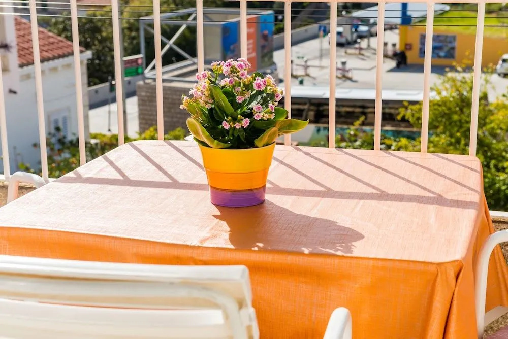 Apartment Zana