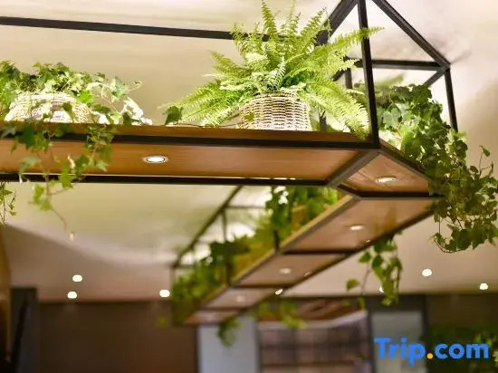 True Go Hotel Beijing Wangjing Science Park Store