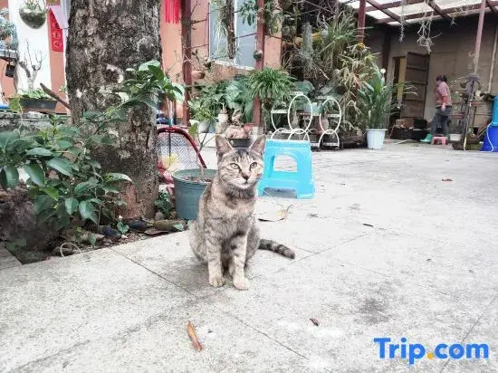 Yuan Zili Homestay