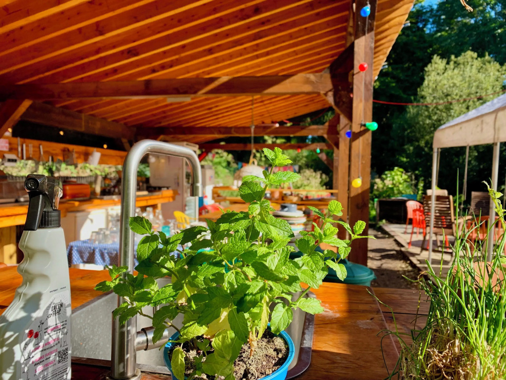 Glamping De Helleborus