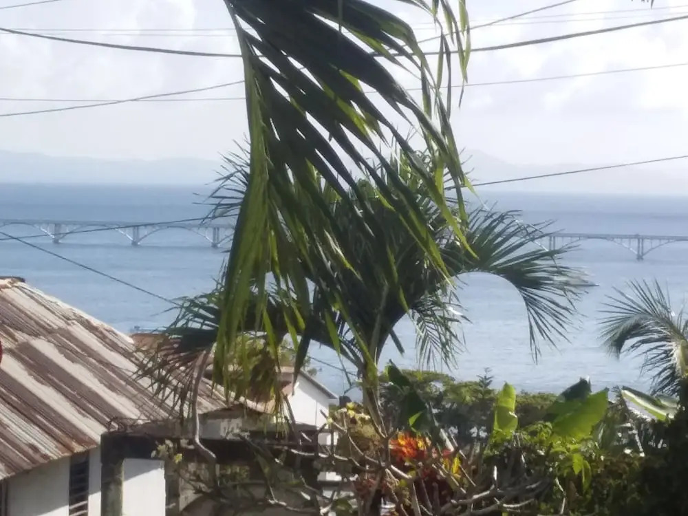 Best bed and breakfast in Samana Breakfast Included