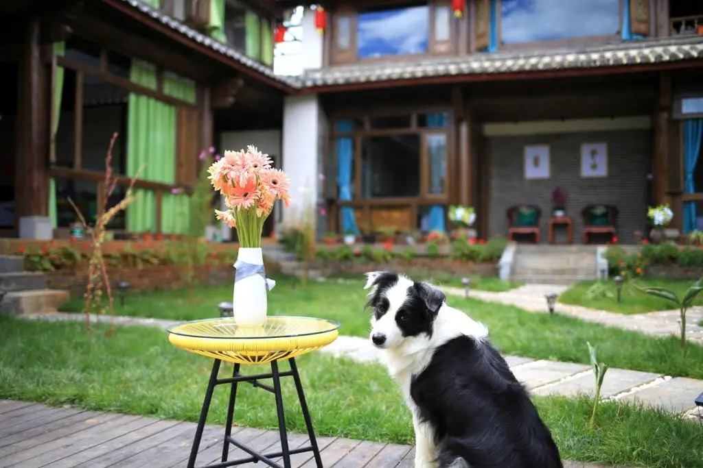 LiJiang LanYuan Boutique Guesthouse