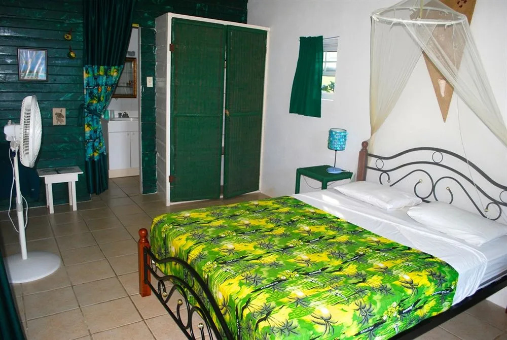 Hotel Jamaican Colors
