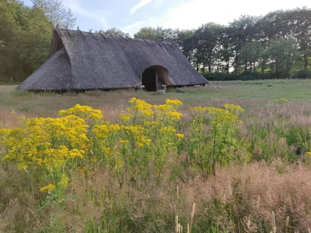 Vakantie op de Veluwe