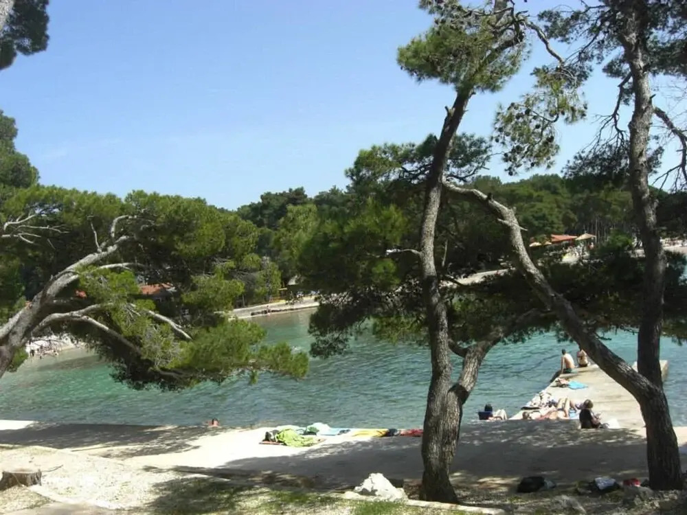 Apartment for 4 Guests Near the Beach in Biograd, Lovely Garden Modern Furnished