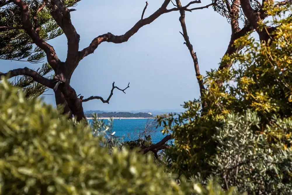 Broadwater by the Bay