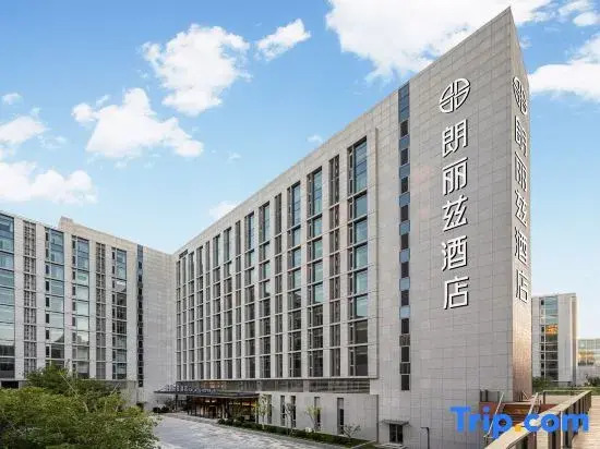 Palace Hotels (Terminal Building Branch of Beijing Daxing International Airport)